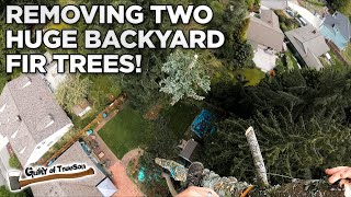 Weekend Warriors Removing Two Large Backyard Fir Trees [upl. by Ches163]