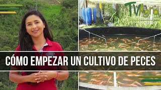 Como empezar un Cultivo de Peces  Piscicultura  TvAgro por Juan Gonzalo Angel [upl. by Acima210]