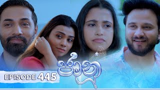 Jaanu  Episode 445  20241107  ITN [upl. by Annovy]