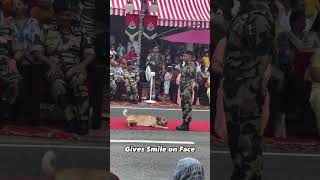 Excellent BSF Army Dog Parade army crpf ncc sscgd indianarmy fauji faujistatus fauj [upl. by Jervis]