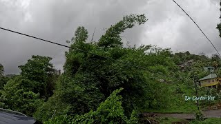 The Winds Dance Spectacular Gusts during Hurricane Beryl  Hurricane in Grenada hurricane nature [upl. by Ayhay]