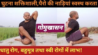 गोमुखासनGomukhasana BenefitsBaba RamdevVijay Yogasan [upl. by Letsirhc]