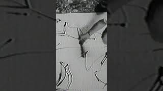 Jackson Pollock 1951  Restored Footage [upl. by Anitselec]