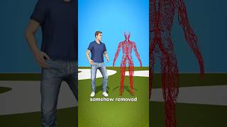 How Long Are Your Blood Vessels  facts factshorts youtubeshorts shorts health factszackdfilms [upl. by Eixel963]