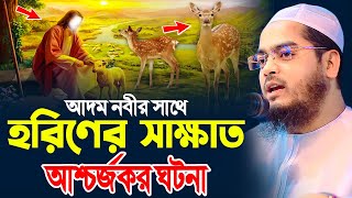 আদম নবী ও হরিণ এর আশ্চর্জকর ঘটনাহাফীজুর রহমান ছিদ্দীক কুয়াকাটাhafizur rahman siddiki kuakata [upl. by Nosirb]