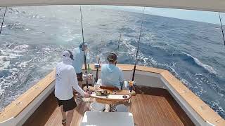 Incredible Blue Marlin Release  Morehead City NC [upl. by Ikcim588]