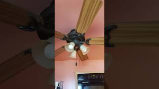 Hunter Stonington ceiling fans [upl. by Kenzi]