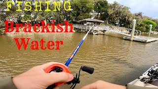 Brackish Water Fishing for BassRedsTrout Ogeechee River [upl. by Maclaine536]