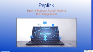 Peplink Backup Reset Restore  How to [upl. by Eneluqcaj]