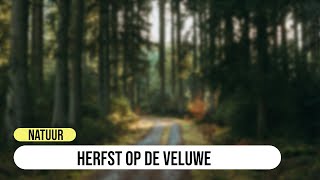 Herfst op de Veluwe [upl. by Norok]