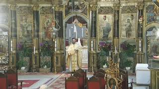 Episcopia GrecoCatolică de Oradea Live Stream [upl. by Ennasirk]