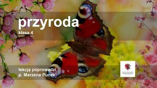 Klasa 4  Przyroda  w poszukiwaniu wiosny [upl. by Tandy]