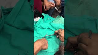 Suture pattern  HorizonalVertical and Cross Mattress explained by drrbkushwaha at SKUAST JAMMU [upl. by Llyrpa]