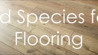 Choosing the Perfect Hardwood Flooring material [upl. by Cain]