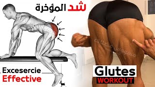 7 Best Exercise Glute Workout [upl. by Gardner431]