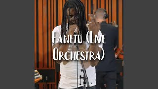 Faneto Live Orchestra [upl. by Codi]