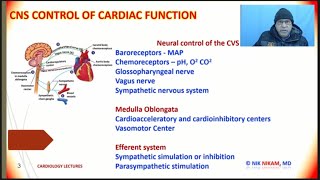 High Blood Pressure  BARORECEPTORS AND CHEMORECEPTORS ON BP Dr NIK NIKAM MD [upl. by Nema149]