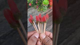 Chilly Milly Hot Gummy Candy Popsicle 😋 shorts viralvideo chilli candy [upl. by Anzovin217]