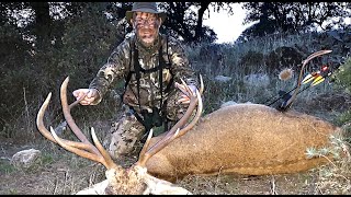 Mouflon sheep and Red stag  Traditional Bowhunting  Tales From the Willows  Acornland Hunts [upl. by Miguela]