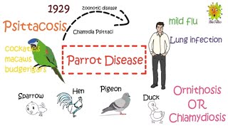 Parrot Disease Psittacosis  Symptoms Treatment and Prevention [upl. by Karoline463]