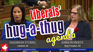 Crime is becoming common A consequence of the Liberals woke hugathug softoncrime agenda [upl. by Breger983]