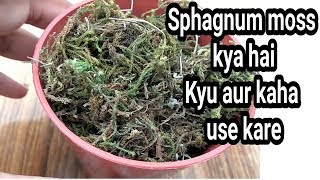 Sphagnum moss ka gardening me use [upl. by Eibreh]