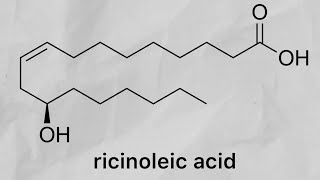 Ricinoleic acid from castor oil phenylacetylrinvanil part 2 [upl. by Nahbois]