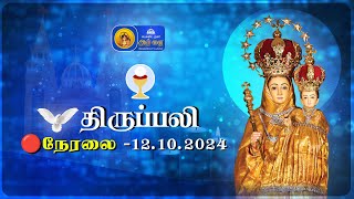 🔴 LIVE  Holy Mass in Tamil  12th october 2024  Annai Vailankanni Shrine  Besant Nagar Annai [upl. by Najib]