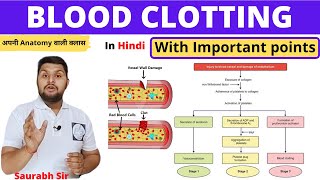 Blood ClottingClotting factors  Important points For NeetNursingMedical Pharmacy [upl. by Blatt]