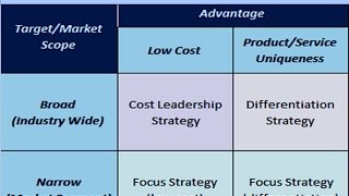 Generic Strategies Concept Framework Performance and Risk  Report Writing  Dissertation [upl. by Tyoh989]