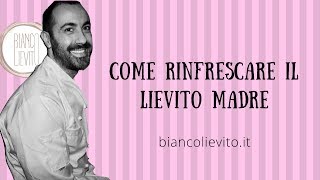 Come Rinfrescare il Lievito Madre [upl. by Liauqram]