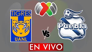 TIGRES VS PUEBLA EN VIVO  LIGA MX APERTURA 2024  JORNADA 11  DONDE VER EN VIVO [upl. by Enidanreb998]