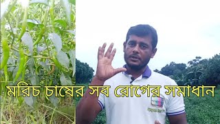 মরিচ চাষের সব সমস্যার সমাধানSyngenta Krishi TV [upl. by Enirehtak]