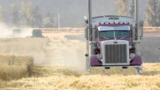 Idaho Wheat Harvest [upl. by Gordie387]