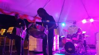 Erphaan Alves “Overdue” Steelpan Cover [upl. by Naeloj882]