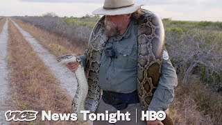 The Bounty Hunters Catching Pythons In Florida HBO [upl. by Esinehc]