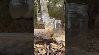 Outdoor simple water filter easy access to clean water survival bushcraft outdoors [upl. by Coriss]