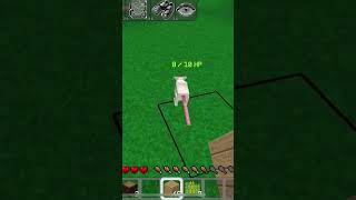 Minecraft rat 🐀 and fox 🦊 minecraft minecraftminecraftminecraft rat fox games [upl. by Nalloh25]