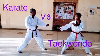 Karate vs Taekwondo  Sparring [upl. by Randolf]