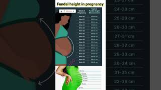 fundal height in pregnancy healthypregnancy symptoms pregnancy baby growth shorts [upl. by Sylvie363]