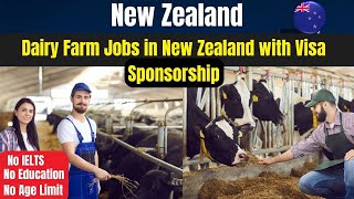 Dairy Farm Jobs in New Zealand with Visa Sponsorship How to get farm jobs in New Zealand [upl. by Lsiel]