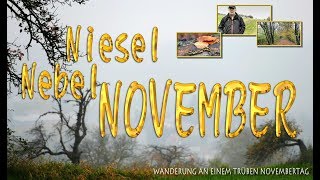 Niesel  Nebel  November [upl. by Annaitat]