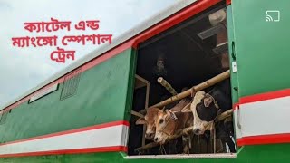 ক্যাটেল এন্ড ম্যাংঙ্গো স্পেশাল ট্রেনbdrailway bdrailfan padmarail [upl. by Wind]