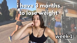 How to lose weight in 3 months  ep 2 [upl. by Drape968]