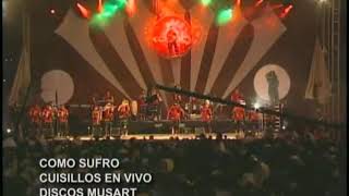 Banda Cuisillos  Como Sufro En Vivo [upl. by Ocsic415]