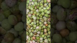 pigeon peas recipe 🤤sambar southindianfood cooking recipe southindiansambar [upl. by Aivatan]