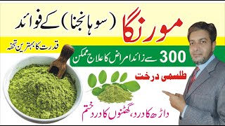 Moringa Powder benefits  Msq Online  Sohanjna  Moringa tea  Moringa ke fayde [upl. by Ingalls781]