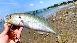 Κοκκαλι τέρας στο λρφ Lrf fishing in Greece [upl. by Petty]