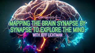 Mapping The Brain Synapse By Synapse To Explore The Mind with Jeff Lichtman [upl. by Junko54]