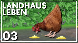 Unser erstes Huhn  Die Sims 4 LandhausLeben Part 03 [upl. by Eramat]